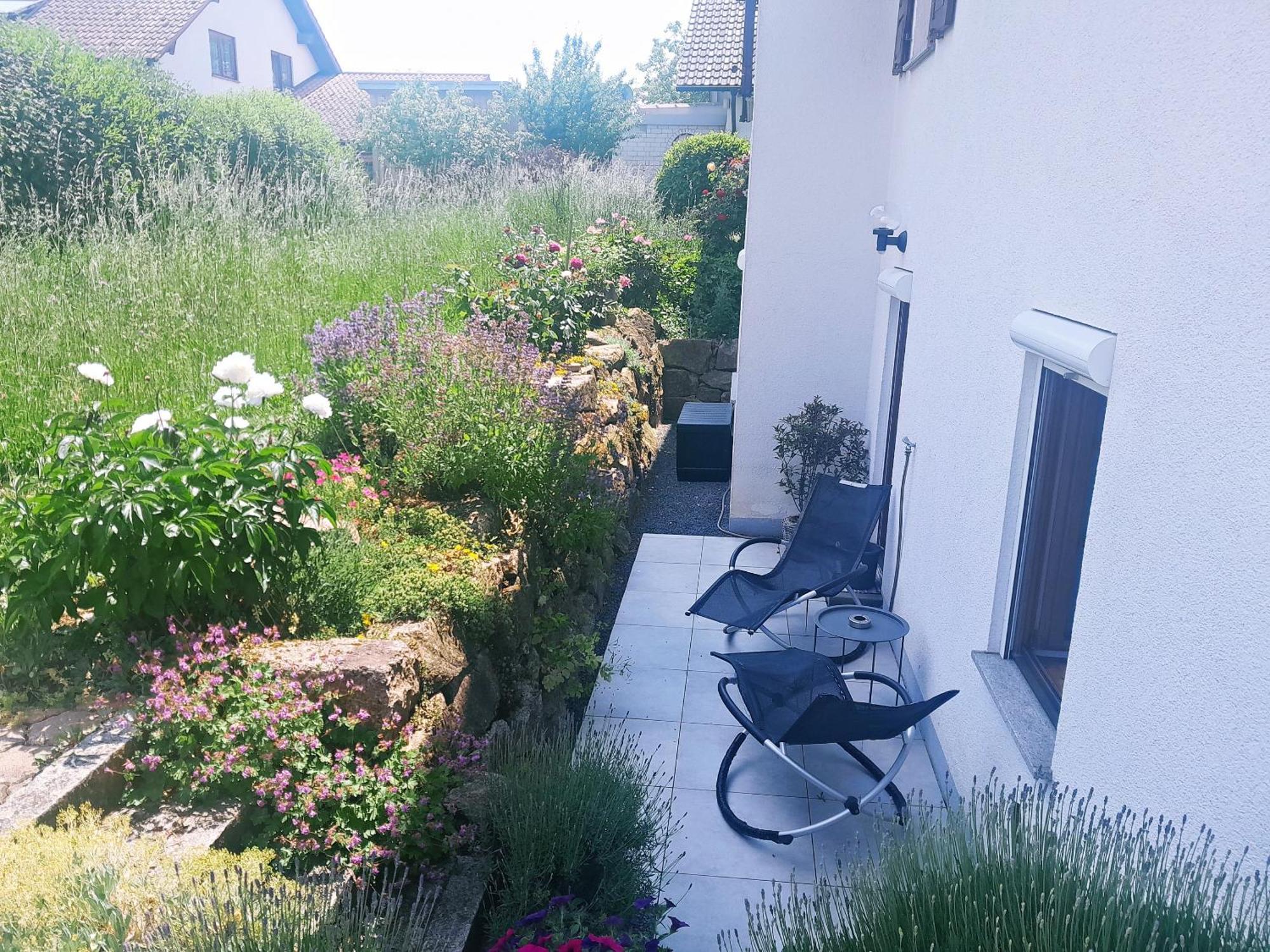 Ferienwohnung Bluetenzauber In Idyllischer Lage Naehe Bodensee 希尔金根 外观 照片